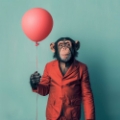 Picture of CHIMP BALLOON BUDDY