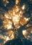 Picture of DEVOTIONALS II