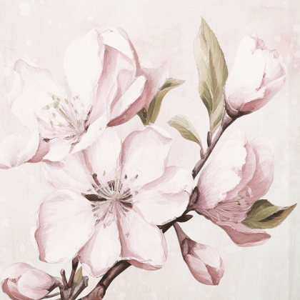 Picture of MAGNOLIA I