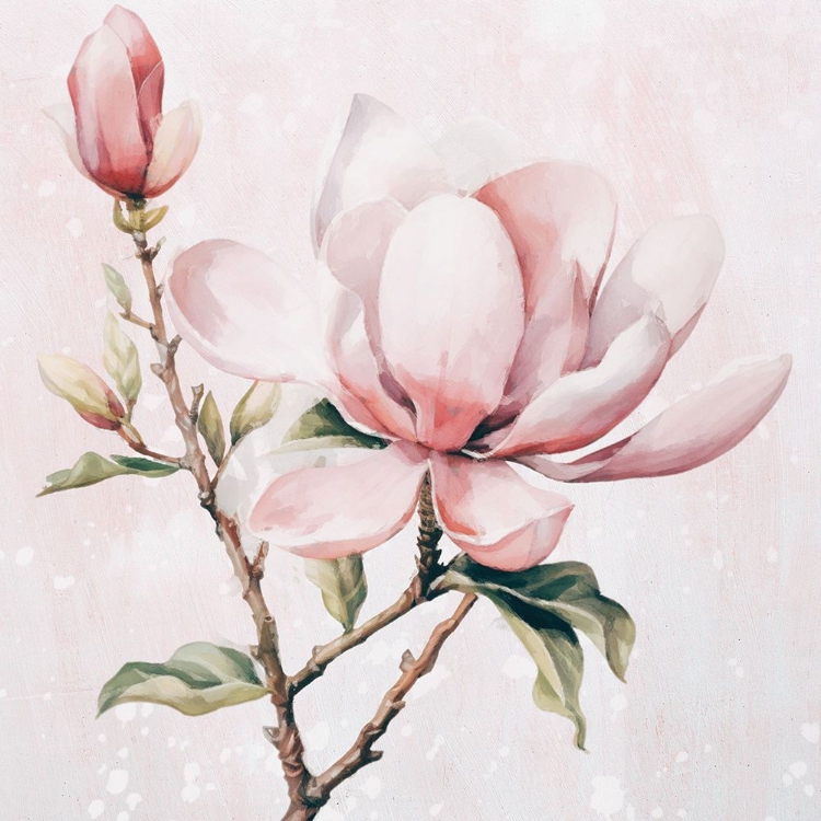 Picture of MAGNOLIA II