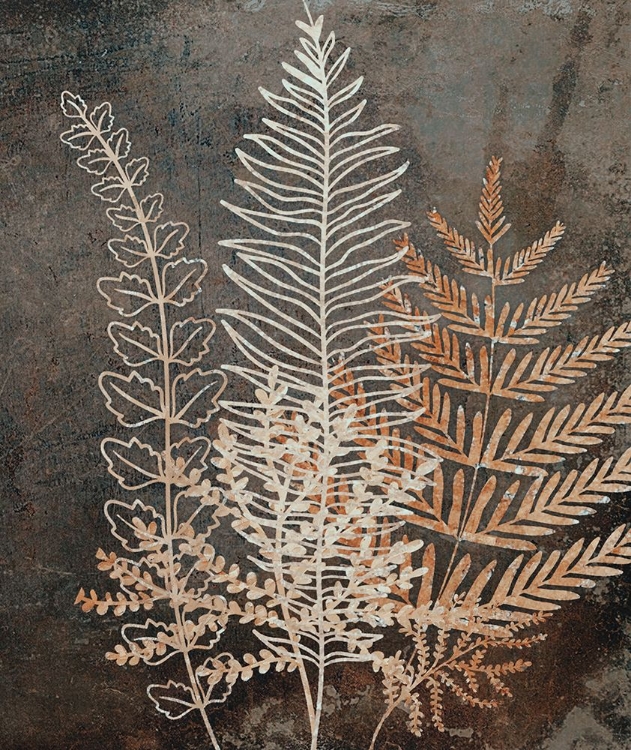 Picture of SEREVA II