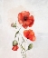 Picture of POPPY II