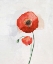 Picture of POPPY I