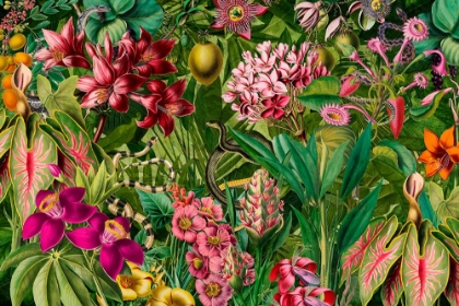 Picture of TROPICAL TANGO