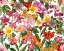 Picture of BLOOMING TROPICS