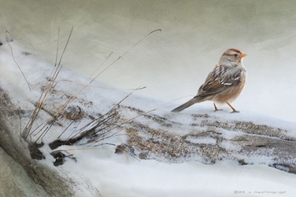 Picture of SNOWSCAPE WITH SPARROW