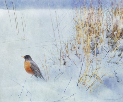 Picture of TUFT OF GRASS WITH ROBIN