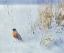 Picture of TUFT OF GRASS WITH ROBIN