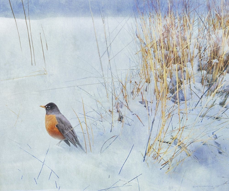 Picture of TUFT OF GRASS WITH ROBIN