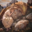 Picture of DRAGON DREAMS IV