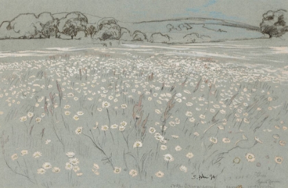 Picture of MEADOW WITH DAISIES 1894