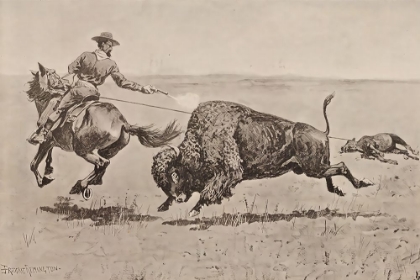 Picture of MR. JONES ADVENTURE 1889