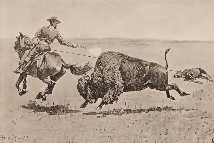 Picture of MR. JONES ADVENTURE 1889