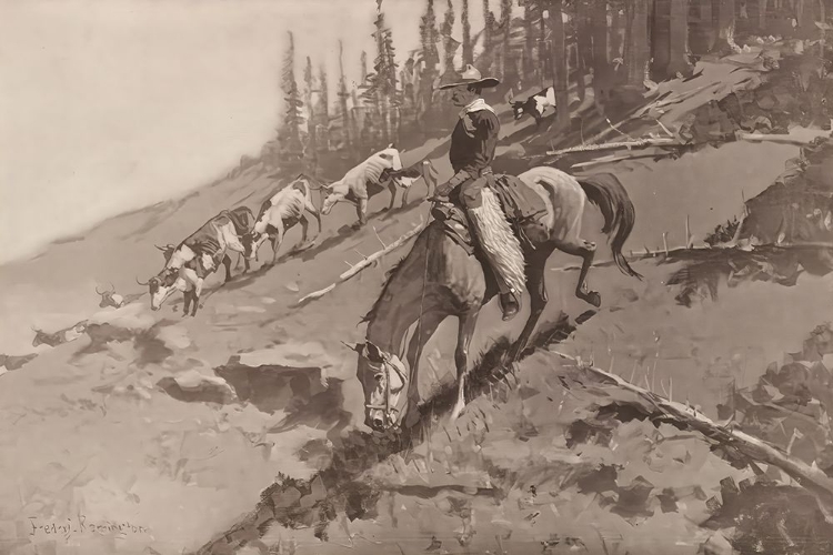 Picture of THE ROUNDUP 1902