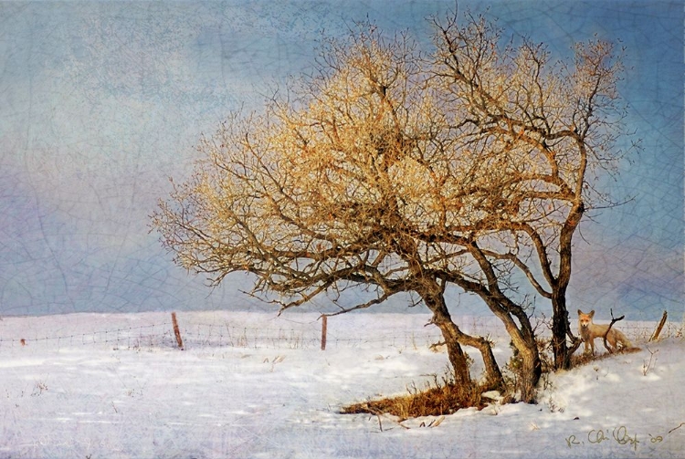 Picture of FOX AND WINTER OAK