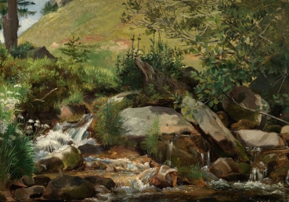 Picture of MEADOW STREAM WITH BUSHES AND GRASSES