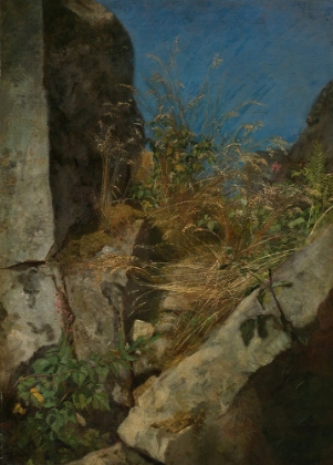Picture of GRASSES BETWEEN ROCKS 1863