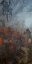 Picture of EASTER TRIPTYCH HELL 1907