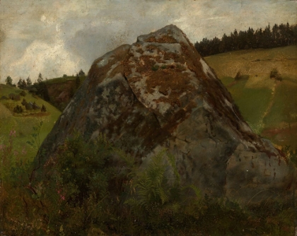 Picture of BOULDER IN A MEADOW VALLEY
