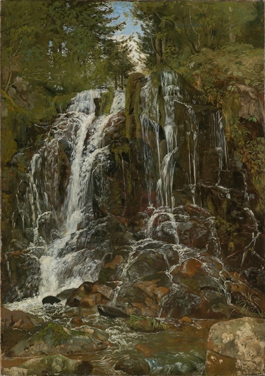 Picture of WATERFALL NEAR ST. BLASIEN 1871