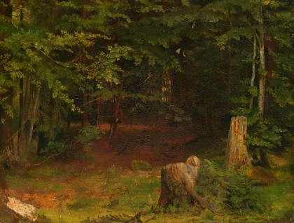Picture of FOREST INTERIOR