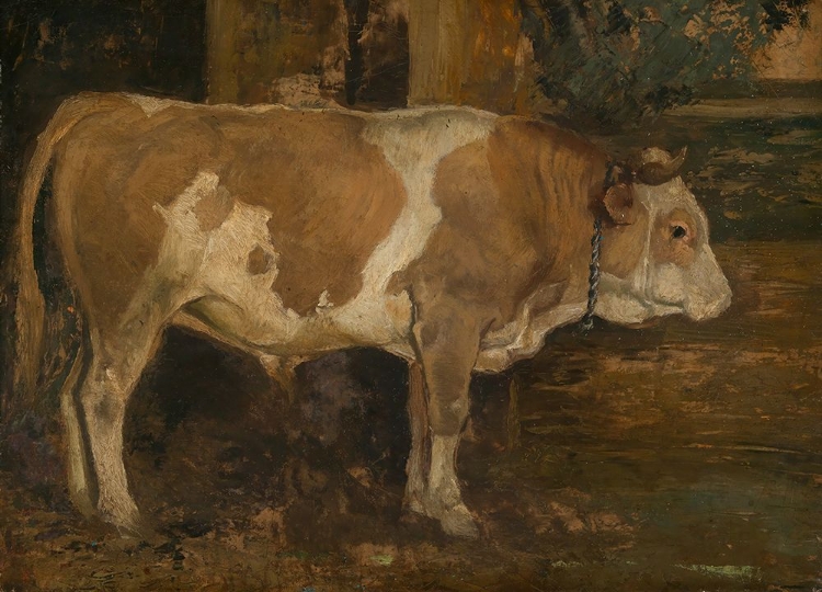 Picture of OX IN THE FOREST