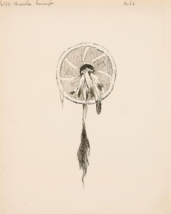 Picture of SHIELD, ILLUSTRATION FOR THE SONG OF HIAWATHA 1889