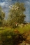 Picture of SPRING 1873