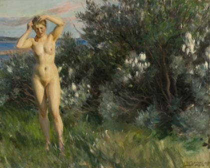 Picture of BY LAKE SILJAN 1905