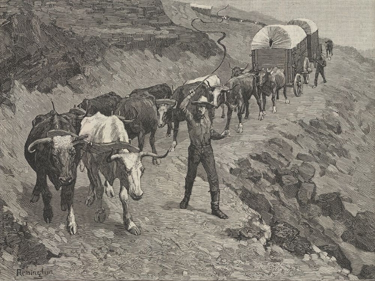 Picture of AN OX TRAIN IN THE MOUNTAINS 1888