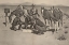 Picture of LATEST NEWS 1901