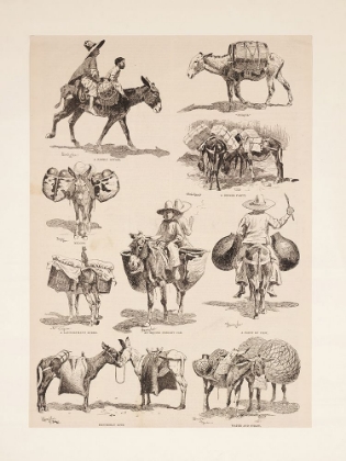 Picture of MEXICAN BURROS 1889