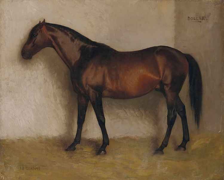 Picture of DOLLAR, A BAY HUNTER IN A LOOSE BOX