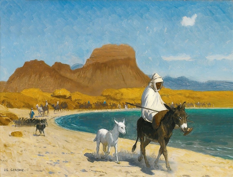 Picture of GOLFE DAKABA