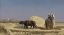 Picture of EGYPTIAN GRAIN-CUTTERS