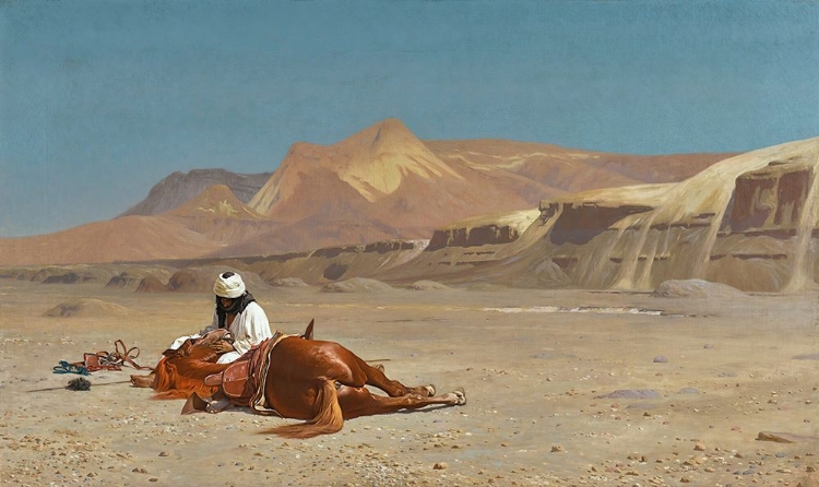 Picture of RIDER AND HIS STEED IN THE DESERT