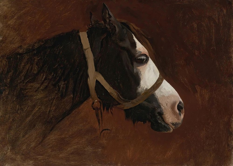 Picture of PROFILE OF A HORSE