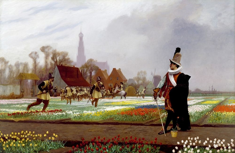 Picture of TULIP FOLLY 1882