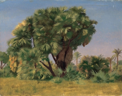 Picture of STUDY OF PALM TREES 1868