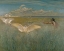 Picture of INDIAN HUNTING CRANES, 1887