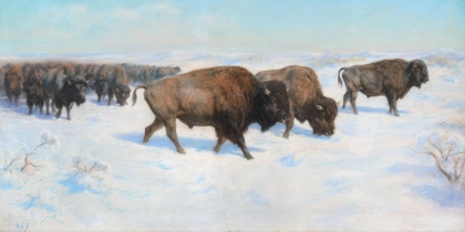 Picture of BISON IN THE SNOW