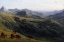 Picture of CATTLE ON A HILL