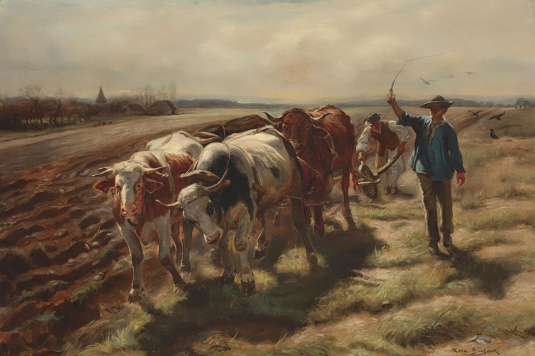 Picture of OX PLOUGH 1875