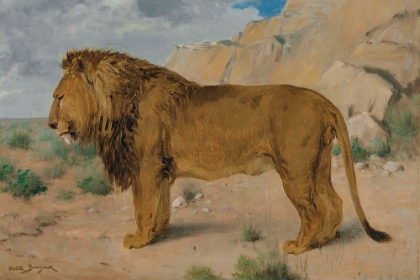 Picture of STUDY OF A LION