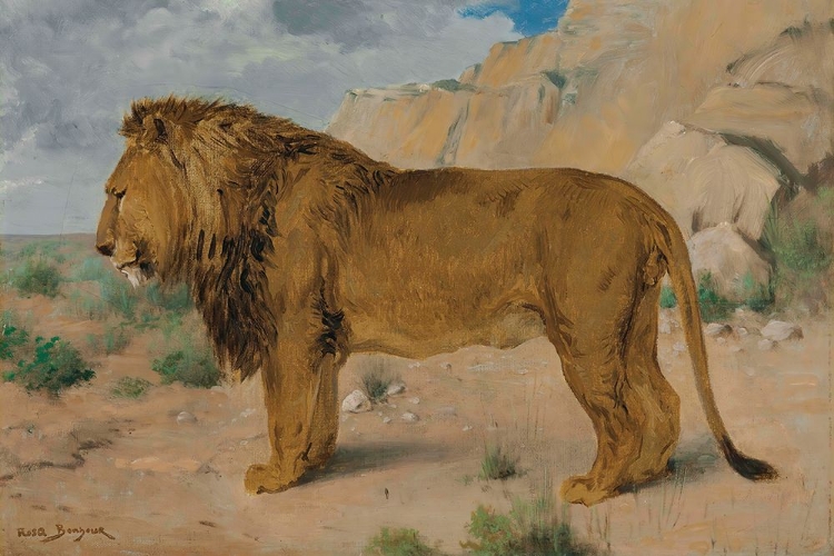 Picture of STUDY OF A LION