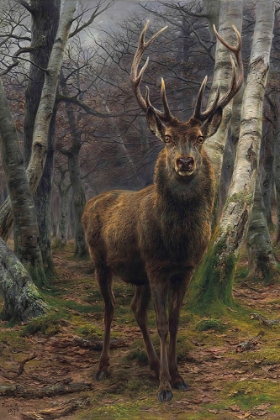 Picture of THE KING OF THE FOREST 1878