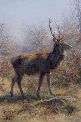 Picture of THE STAG 1899