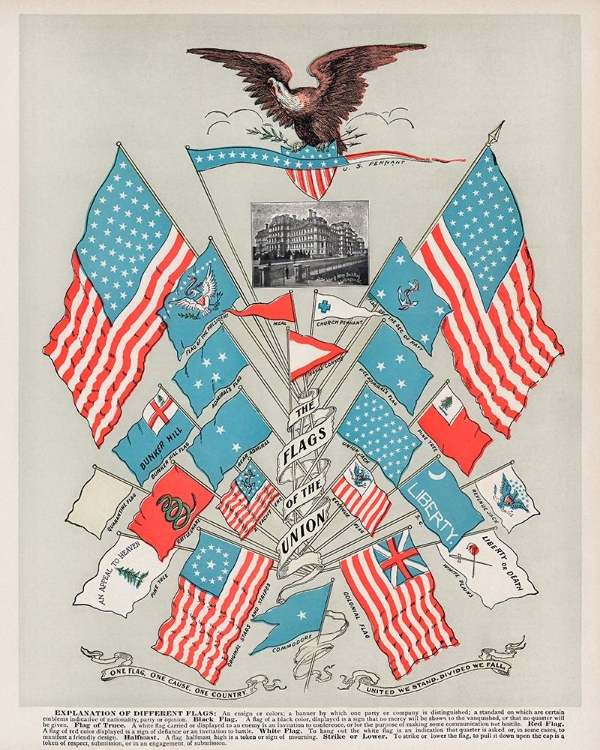 Picture of THE FLAGS OF THE UNION 1901