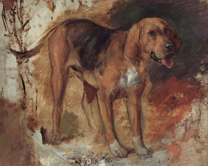 Picture of STUDY OF A BLOODHOUND 1848