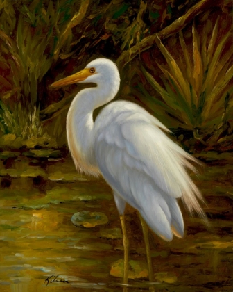 Picture of TROPICAL EGRET II